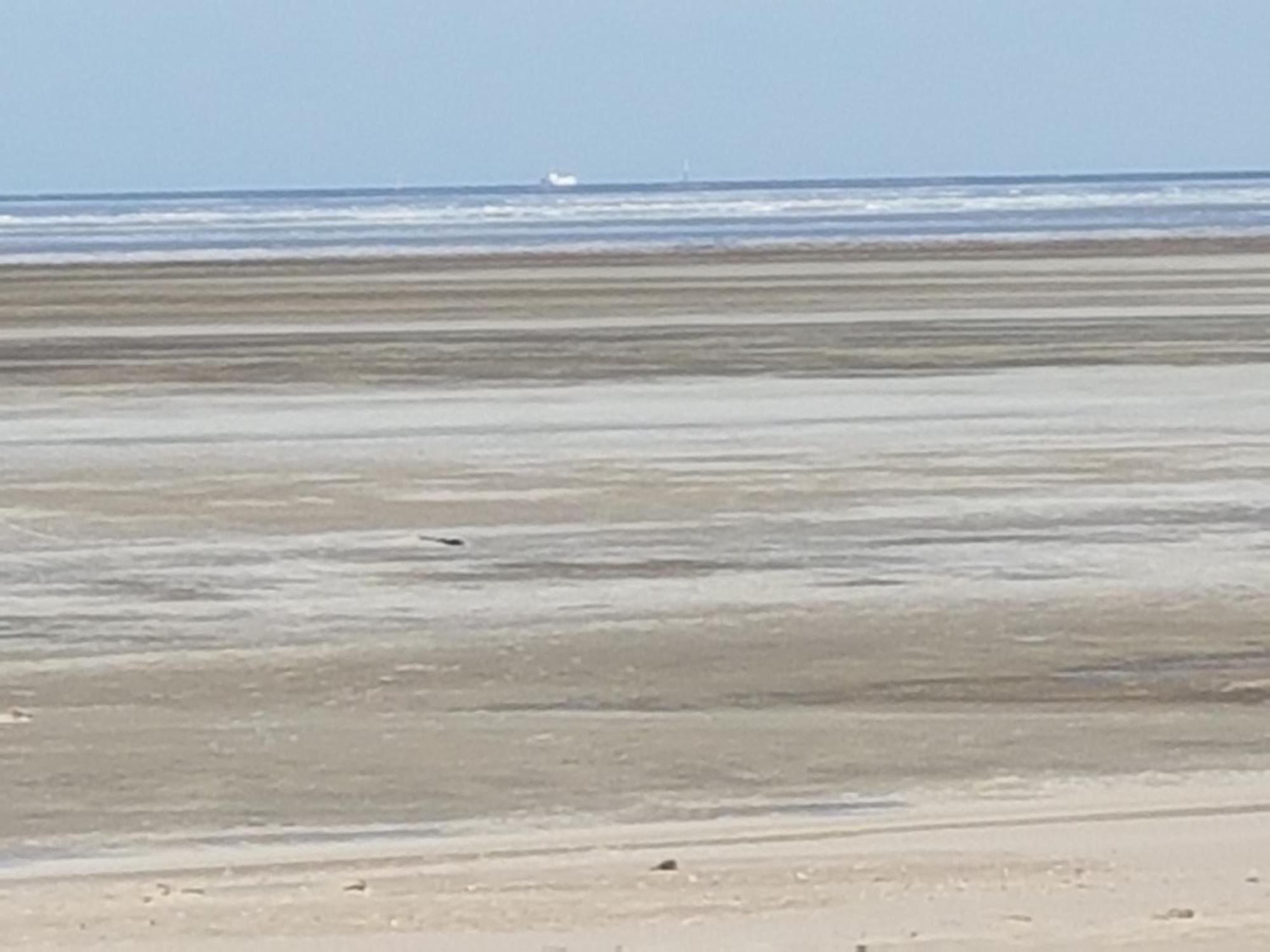 Gemuetliches Apartment Direkt Am Strand Cuxhaven Eksteriør billede